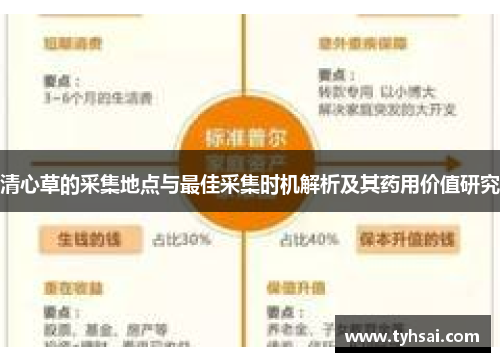 清心草的采集地点与最佳采集时机解析及其药用价值研究